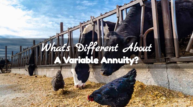 What's Different About A Variable Annuity_